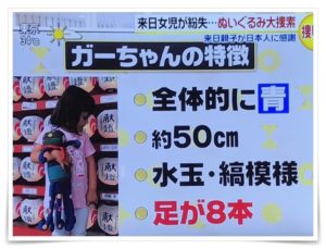 ガーちゃんを探せ ノラ