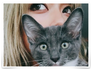ローラ テレビ出ない理由 ロス 移住犬 猫 保護活動