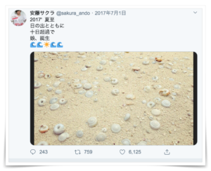 柄本佑 子供 女の子 娘 保育園 年齢 名前 画像