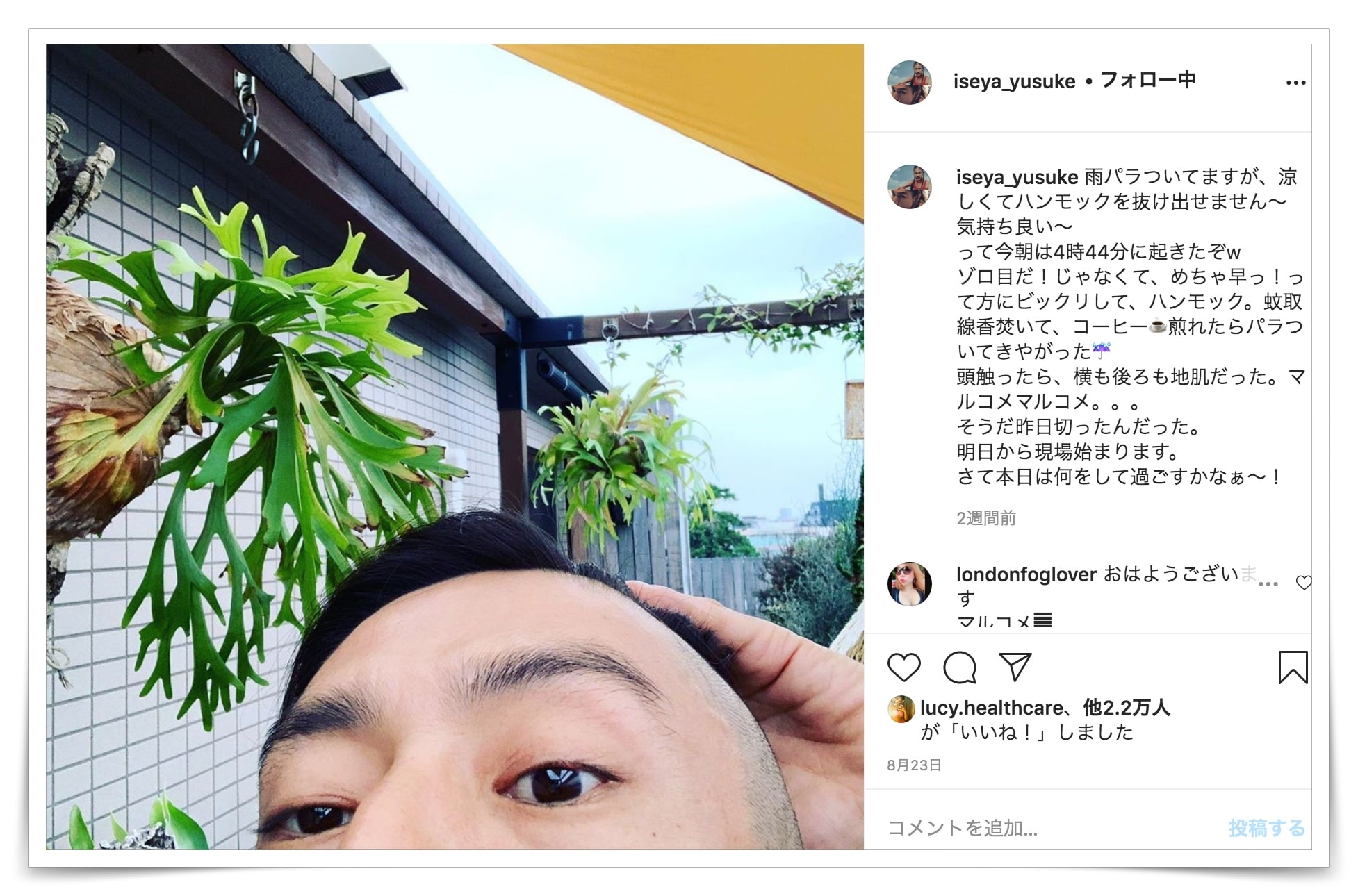 伊勢谷友介の栽培のインスタ画像