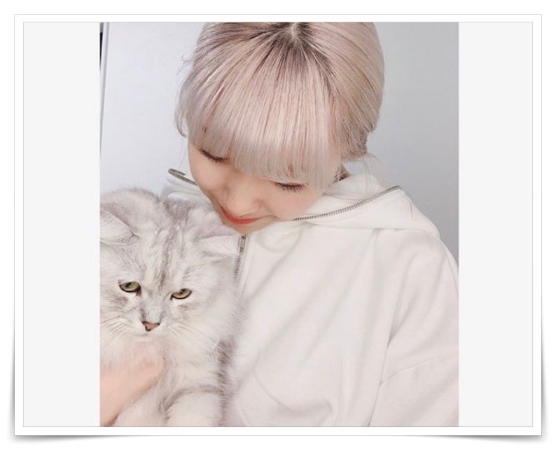 niziuマユカと猫
