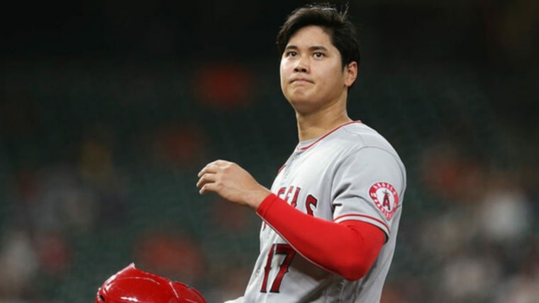 大谷翔平の家族構成は 兄弟姉妹や父親の職業 母親の身長も紹介 話題の気になるあれこれを紹介