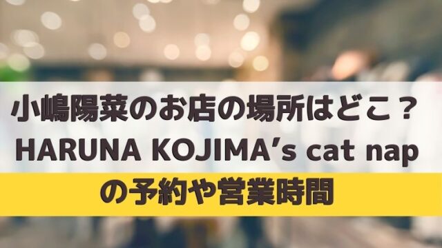 小嶋陽菜のお店の場所はどこ？HARUNA KOJIMA’s cat napの予約や営業時間